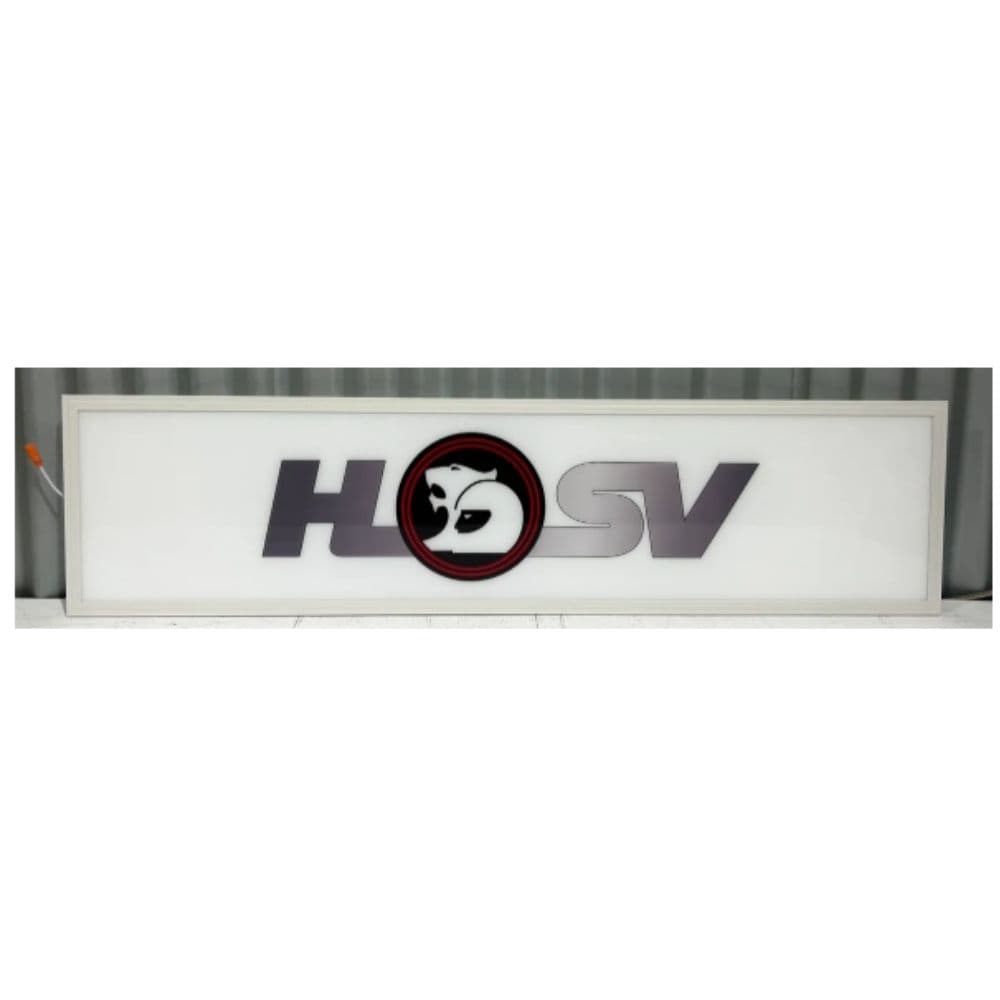 Hsv Holden LED Wall Hanging Light
